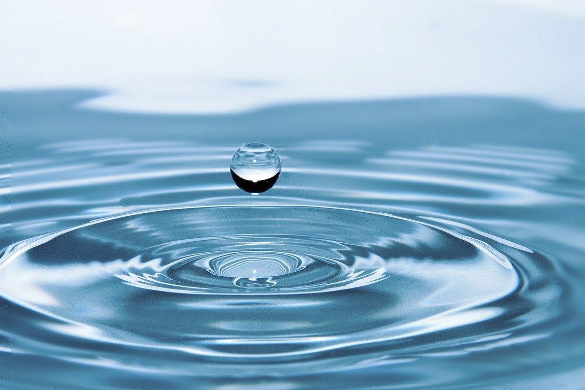 Legionella